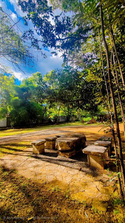 Jay'S Avenue Hotell Udawalawe Eksteriør bilde