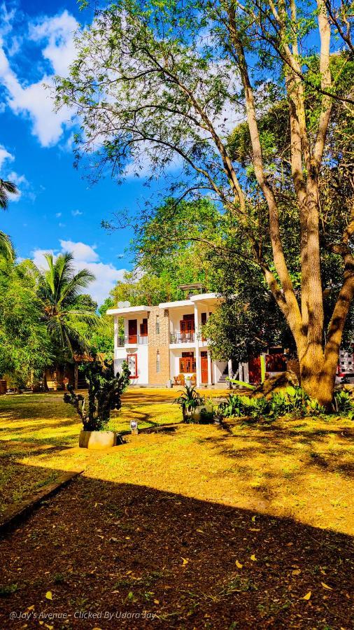 Jay'S Avenue Hotell Udawalawe Eksteriør bilde