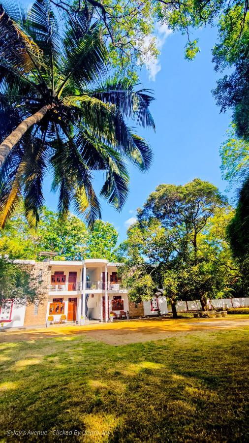 Jay'S Avenue Hotell Udawalawe Eksteriør bilde